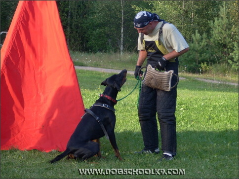 Summer training camp in Finland 2007